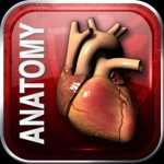 Doctors In Training – Solid Anatomy