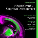 2020 Neural Circuit and Cognitive Development Comprehensive Developmental Neuroscience 2nd Edition
