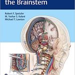 2020 Surgery of the Brainstem True PDF