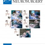 Journal of Neurosurgery 2020
