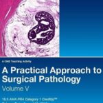 2019 A Practical Approach to Surgical Pathology, Vol. V