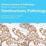 Classic Lectures in Pathology What You Need to Know Genitourinary Pathology 2019