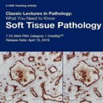 Classic Lectures in Pathology What You Need to Know Soft Tissue Pathology 2019 Price 15€