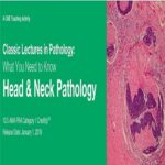 Classic Lectures in Pathology What You Need to Know Head and Neck Pathology 2019 Price 15€
