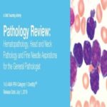 Pathology Review Hematopathology, Head and Neck Pathology and Fine Needle Aspirations for the General Pathologist 2019 Price 15€