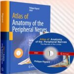 Atlas of Anatomy of the Peripheral Nerves – The Nerves of the Limbs PDF+VIDEO 2020 at 15€