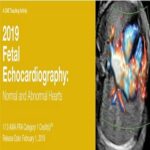 2019 Fetal Echocardiography Normal and Abnormal Hearts at 35€