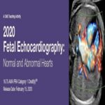 2020 Fetal Echocardiography Normal and Abnormal Hearts