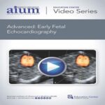 Advanced-Early-Fetal-Echocardiography
