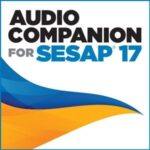 Audio Companion for SESAP® 17 (2020) at 50€