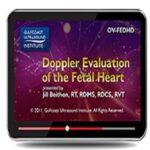 Doppler-Evaluation-of-the-Fetal-Heart