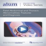 Fetal-Abdominal-and-Thoracic-Abnormalities-Features-and-Diagnosis