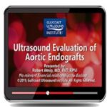 Gulfcoast Ultrasound Evaluation of Aortic Endografts at 15€