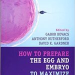 How to Prepare the Egg and Embryo to Maximize IVF Success