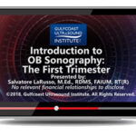 Introduction-to-OB-Sonography-The-First-Trimester-Online