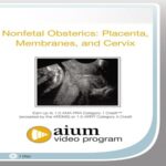 Nonfetal-Obstetrics-Placenta-Membranes-and-Cervix