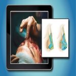 QMP e Learning Program – plastic surgery at 135€
