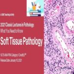 2021 Classic Lectures in Pathology What You Need to Know Soft Tissue Pathology at 50€