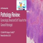 2021 Pathology Review Gynecologic Breast and Soft Tissue for the General Pathologist at 60€