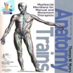 Anatomy Trains – Myofascial Meridians for Manual & Movement Therapists