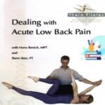 Dealing with Acute Low Back Pain
