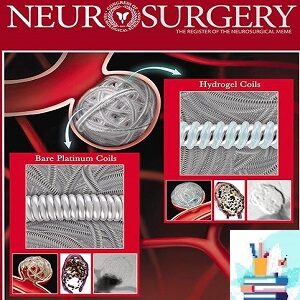 Neurosurgery 2022 Full Archives TRUE PDF at €30