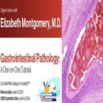 Expert Series with Elizabeth Montgomery M.D Gastrointestinal Pathology A One-On-One Tutorial 2021-Videos+PDF at 60€