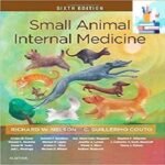 Small Animal Internal Medicine 6ed PDF+Video 2020 at 5€