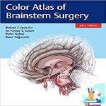 Color Atlas of Brainstem Surgery 1ed PDF+Video at 2€