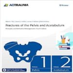 Fractures of the Pelvis and Acetabulum Principles and Methods of Management 2-Vol 4ed PDF+Videos at 5€