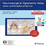 Neurosurgical Operative Atlas Spine and Peripheral Nerves 3ed PDF+Videos at 1€