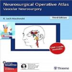 Neurosurgical Operative Atlas Vascular Neurosurgery 3ed PDF+Video at 5€