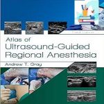 Atlas of Ultrasound-Guided Regional Anesthesia True pdf+Videos Price 3€