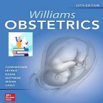 Williams Obstetrics True pdf+Videos Price 4€